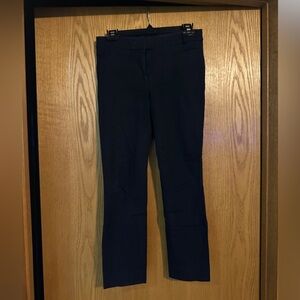 Dark Navy Slim Fit Pants
